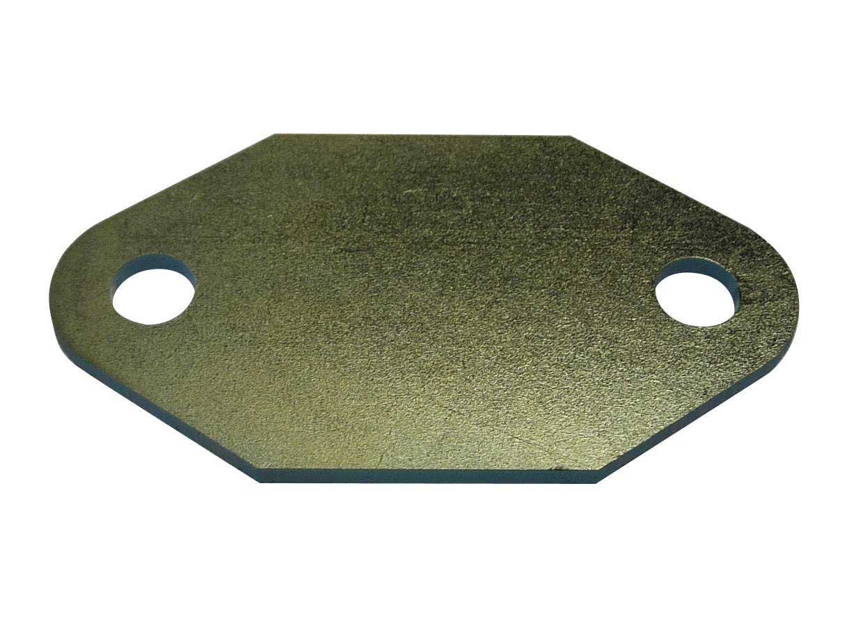 TFI Fuel Pump Block Off Plate Holden V8 253 308 - 0308