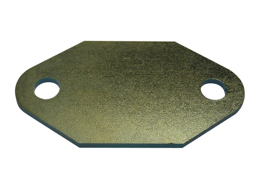 TFI Fuel Pump Block Off Plate Holden V8 253 308 - 0308