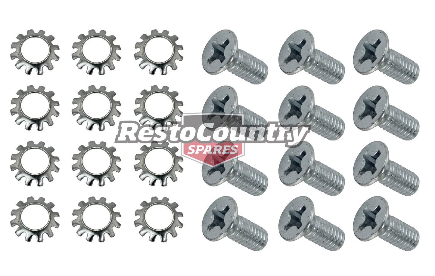 Holden Tailgate Hinge Screws Set x12 HQ HJ HX HZ WB Ute or Panel Van washers - 10052