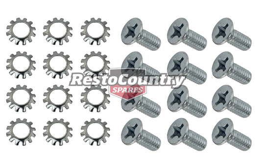 Holden Tailgate Hinge Screws Set x12 HQ HJ HX HZ WB Ute or Panel Van washers - 10052