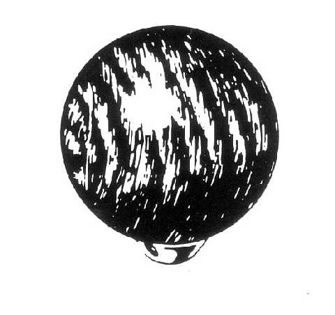 Universal Round Wood Gear Shift Knob Fits 1/2" 3/8" 5/16" Rod Holden Ford Hot Rod - 111455