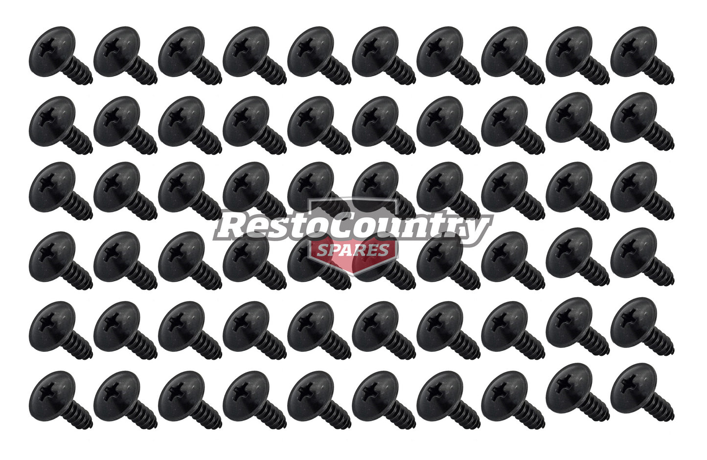 Ford Ute Van Well / Tub Side Plate Screw x60 XR XT XW XY XA XB XC XD XE XF XG XH - 20300