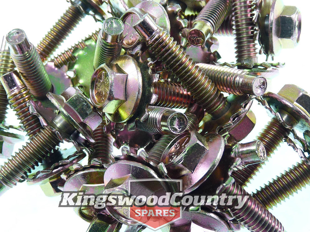 Ford Door Hinge Bolts x24 - 2 Doors XR XT XW XY ZA ZB ZC ZD Falcon Fairlane - 20486