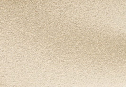 Headlining & Visor EJ Sedan White Sandpaper - 7421161-HL005