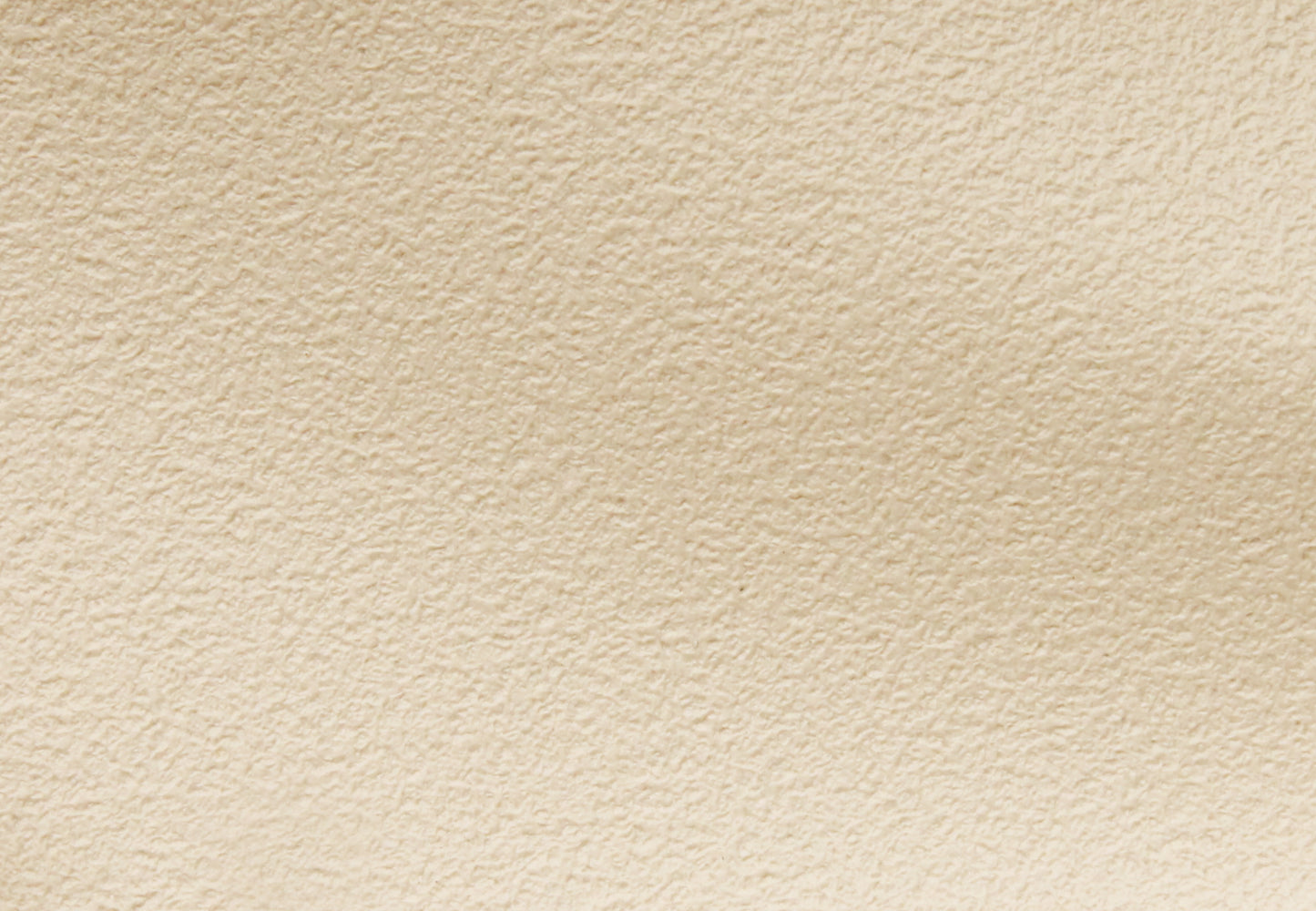 Headlining & Visor EJ EH Wagon White Sandpaper - 7421167-HL005