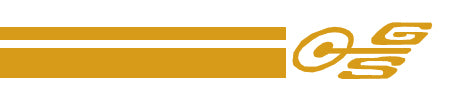 Body Decal Stripe Kit (Gold) Ford XW XY GS Sedan - BD4407