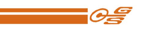 Body Decal Stripe Kit (Orange) Ford XW XY GS Ute - BD4571U