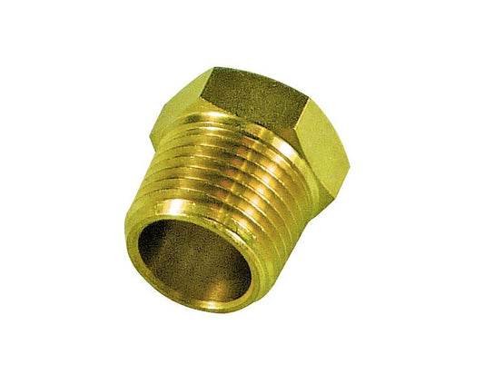 TFI Brass External Hex Plug (1/2") BSP - BP12