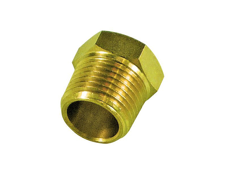 TFI Brass External Hex Plug (1/4”) BSP - BP14