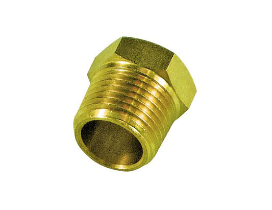 TFI Brass External Hex Plug (1/8”) BSP - BP18