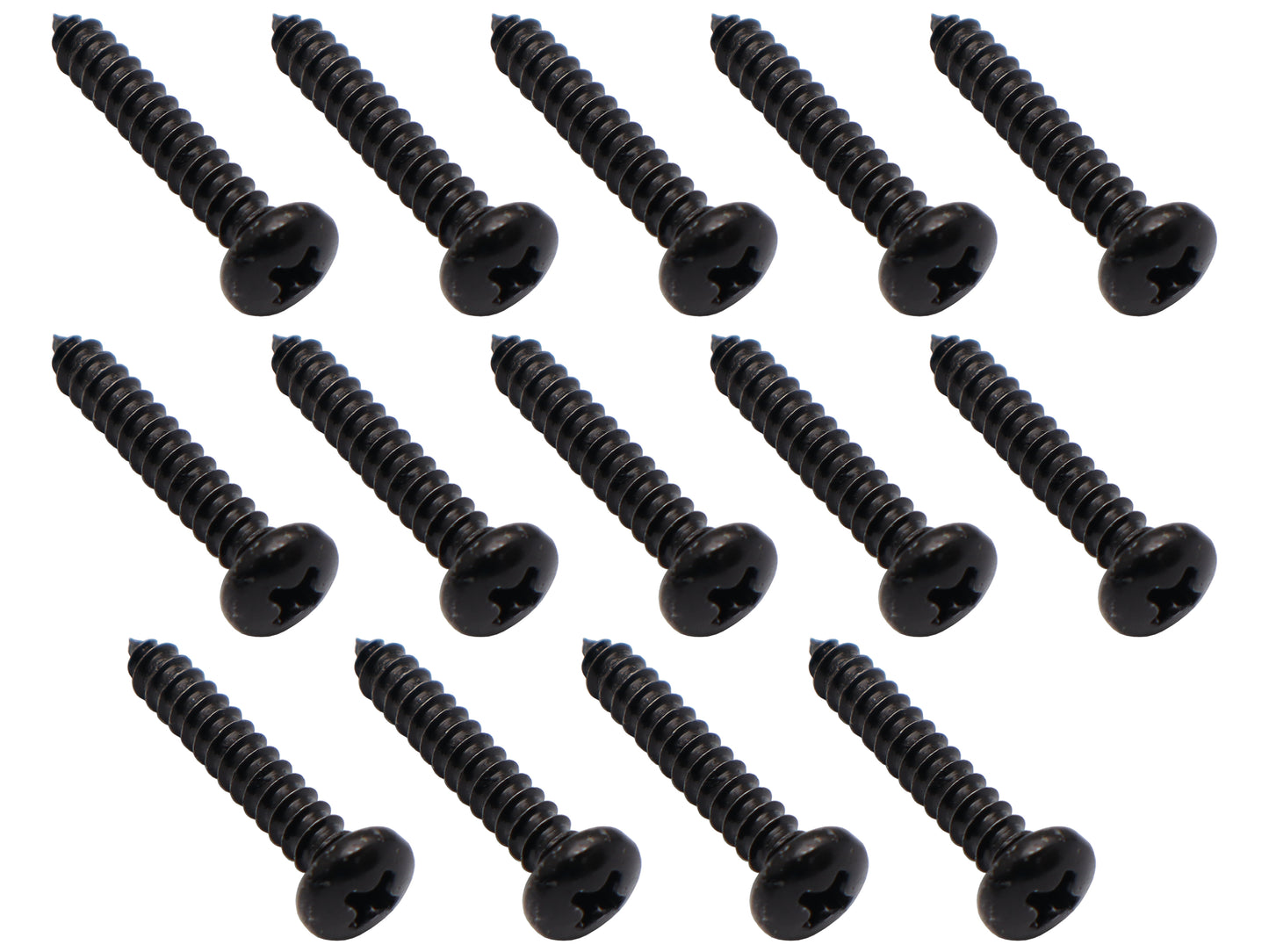 Ford Falcon Scuff Plate Screw Kit 14 pcs XD XE XF Sedan sill door fitting - DSS2003