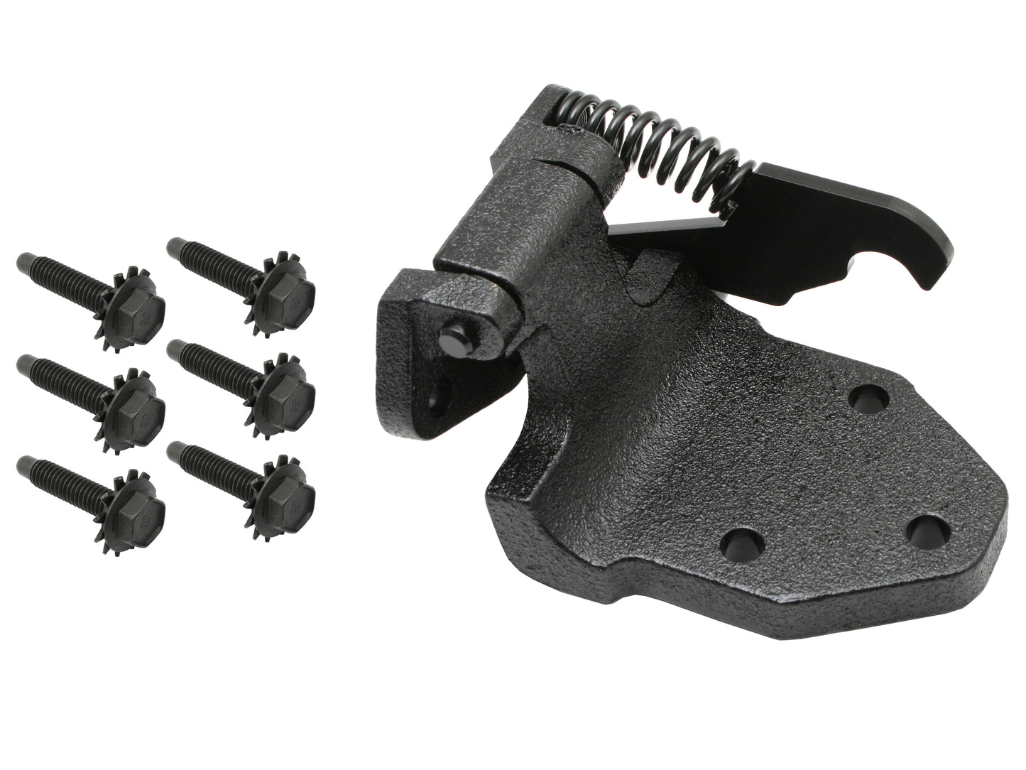 Ford Door Hinge + Fitting Bolts RIGHT Front LOWER x1 XR XT XW XY ZA ZB ZC ZD - F2081