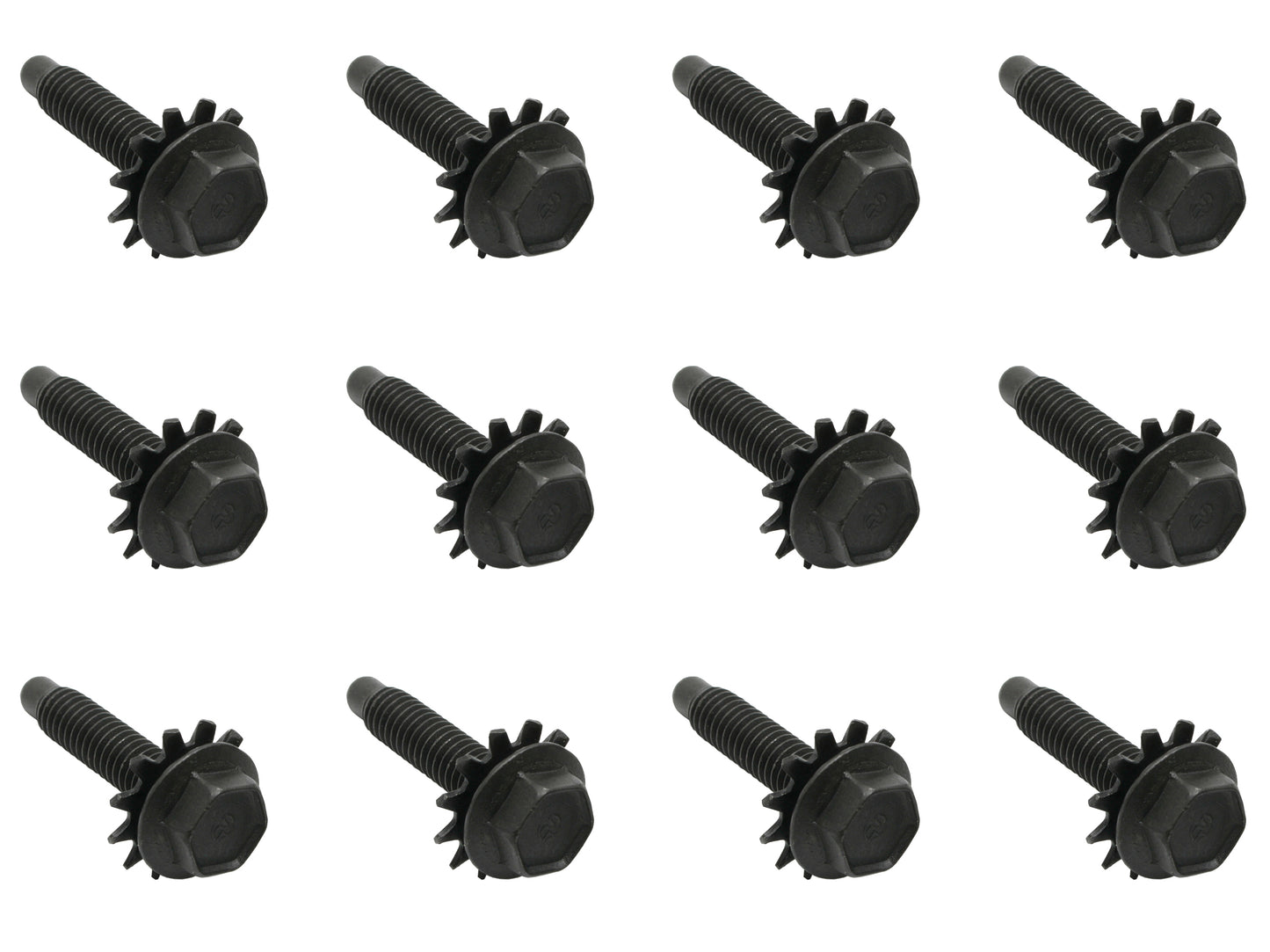 Ford Door Hinge Bolts BLACK XR XT XW XY ZA ZB ZC ZD 1x Door = x12 - FK2006
