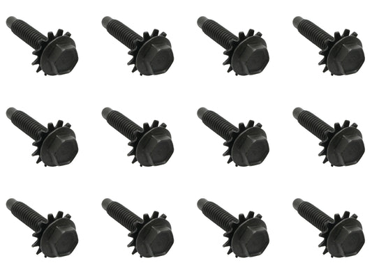 Ford Door Hinge Bolts BLACK XR XT XW XY ZA ZB ZC ZD 1x Door = x12 - FK2006