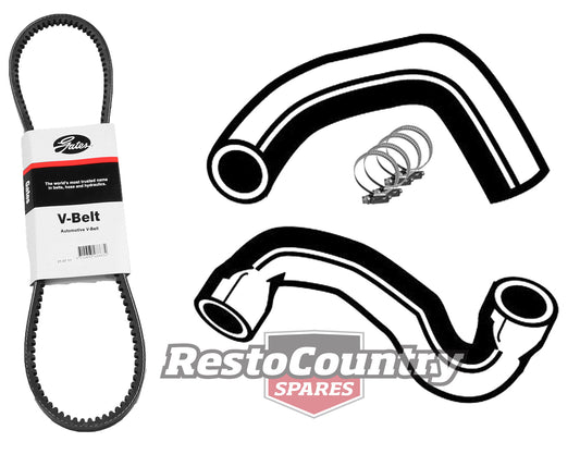 Ford Service Kit Fan Belt +Radiator Hose+Clamp Kit 6Cyl XA XB ZF ZG AUTO NON A/C - KHB55