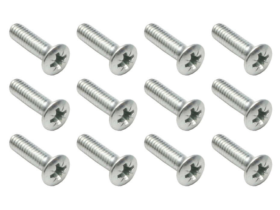 Ford Interior Chrome Screw Pack Phillips Oval Head 8G 5/8" CR ZP 12pcs - SM0012